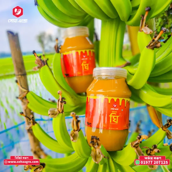 Gawa Ghee/ শরের গাওয়া ঘি (১ কেজি) সিরাজগঞ্জের বিখ্যাত শরের গাওয়া ঘি - Image 2